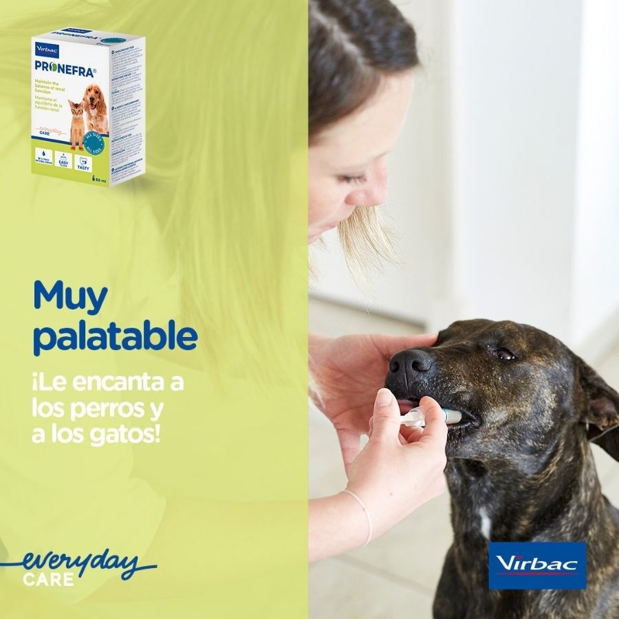 180 ml Virbac Pronefra para perros y gatos, , large Imagen numero 8