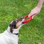 Ferplast aro de juguete cuidado dental rojo para perros, , large indicador imagen numero 3