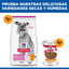 2.5 kg Hill's Science Plan Light Mature Adult small y mini pollo pienso para perros, , large indicador imagen numero 7