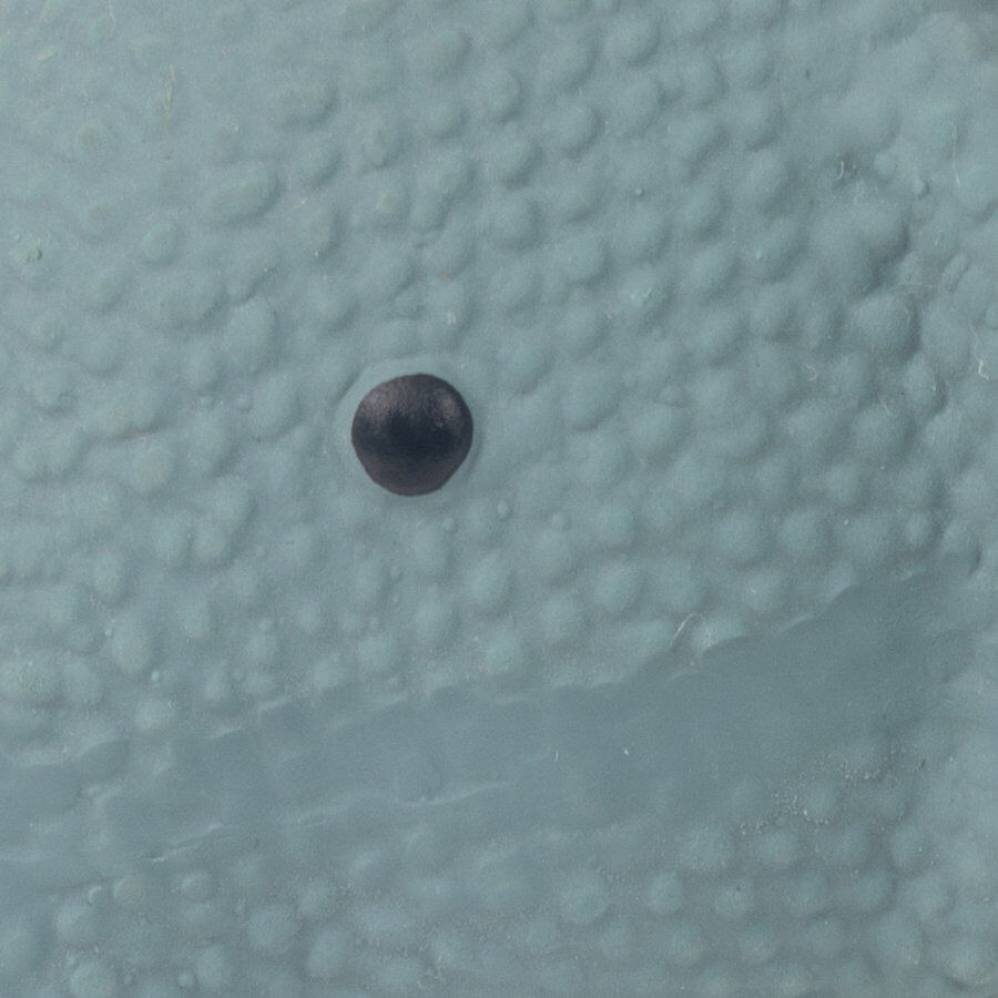 Tootoy! Puppy Mini Elephant Toy mordedor para cachorros thumbnail