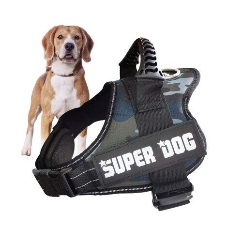 Edipets arn&eacute;s ajustado y antitirones azul camo para perros, , large Imagen numero 1