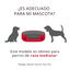 TK-Pet Simba Cama Roja Viscolástica para perros, , large indicador imagen numero 2