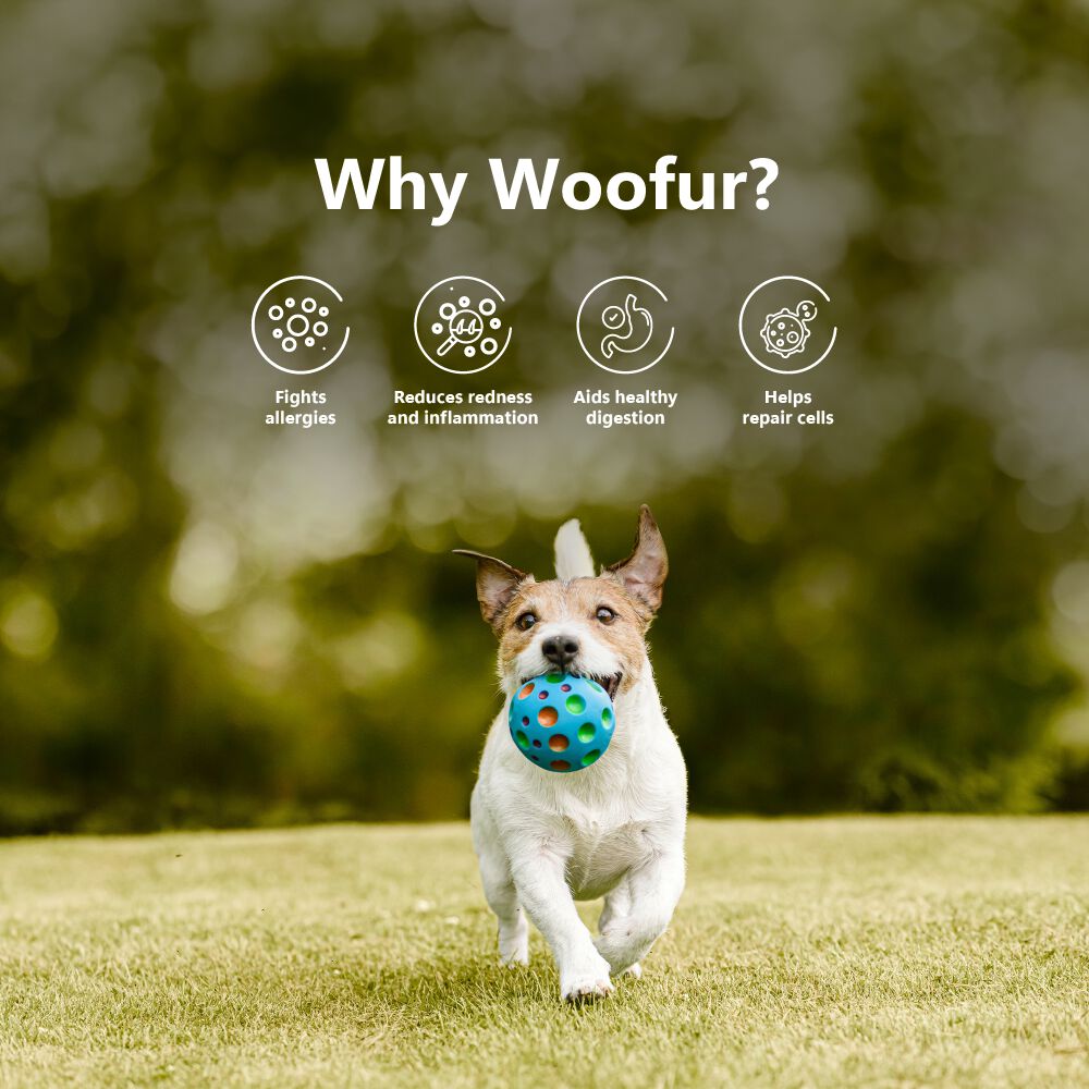 Delicias de carne seca: pollo y manzana (50 g/1,76 oz), , large Imagen numero 5