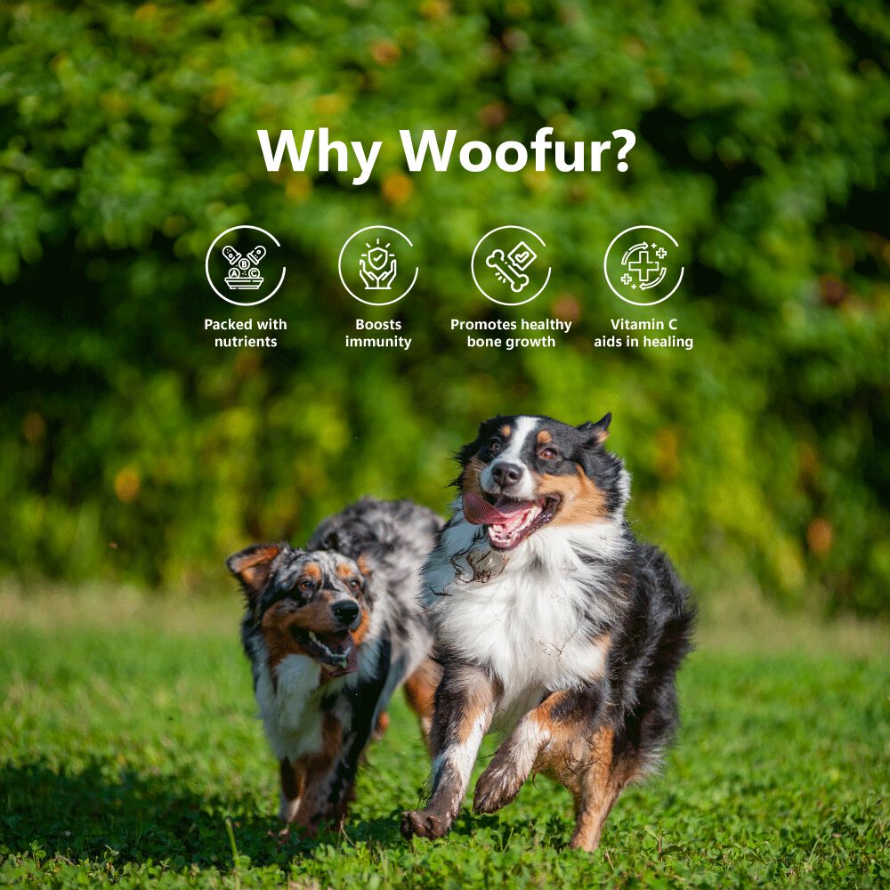 Delicias de carne seca: pollo y pl&aacute;tano (50 g/1,76 oz), , large Imagen numero 5