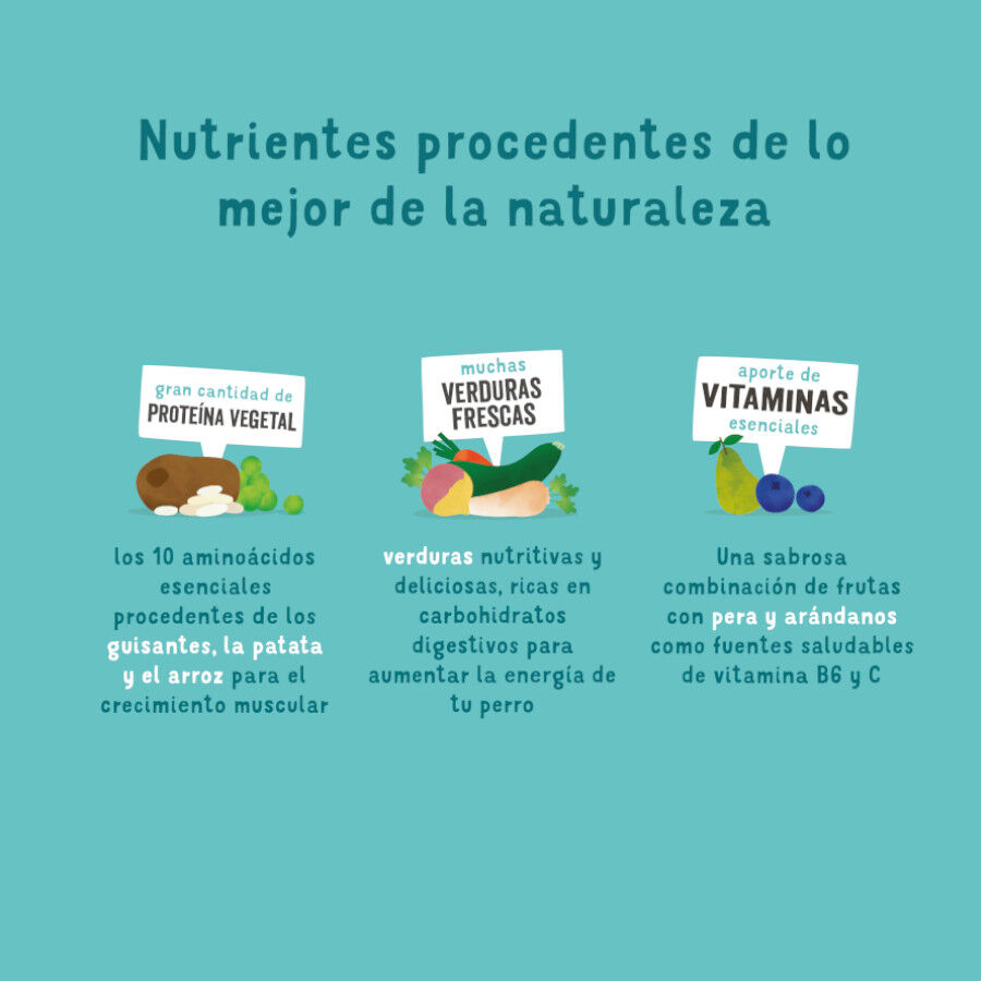 7 kg Edgard & Cooper Zanahoria y Calabac&iacute;n pienso para perros, , large Imagen numero 4