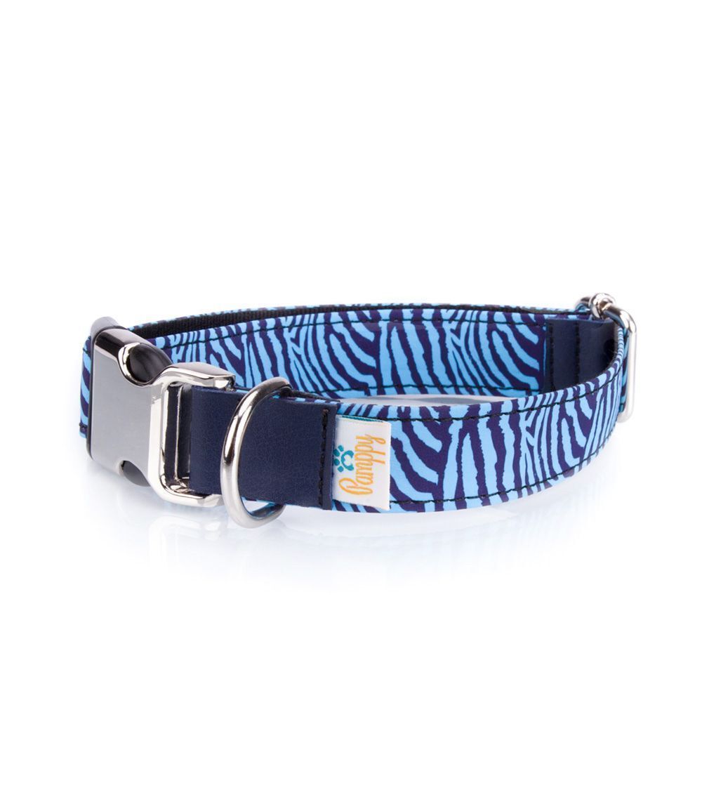 Collar Pamppy Funny Cebra Azul para perros color Multicolor, , large Imagen numero 2