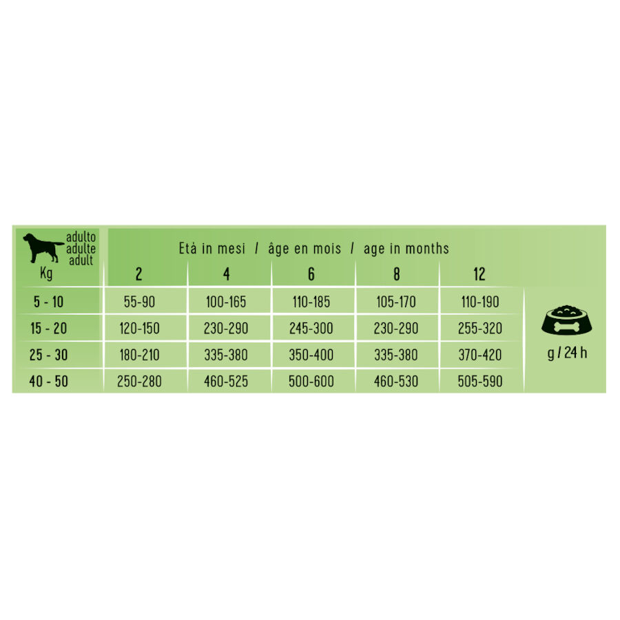 2.24 kg Schesir Puppy Natural Selection Cordero pienso , , large Imagen numero 3