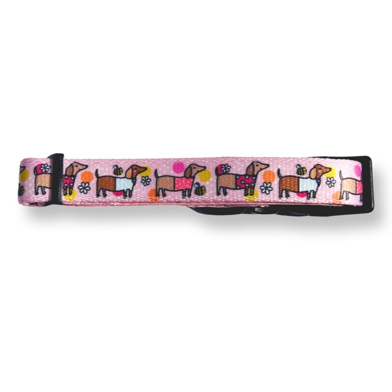 Puppies & Pom Poms Bee Happy Dachshunds Collar para perros, , large image number null
