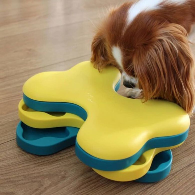 Juguete rompecabezas giratorio para perros thumbnail