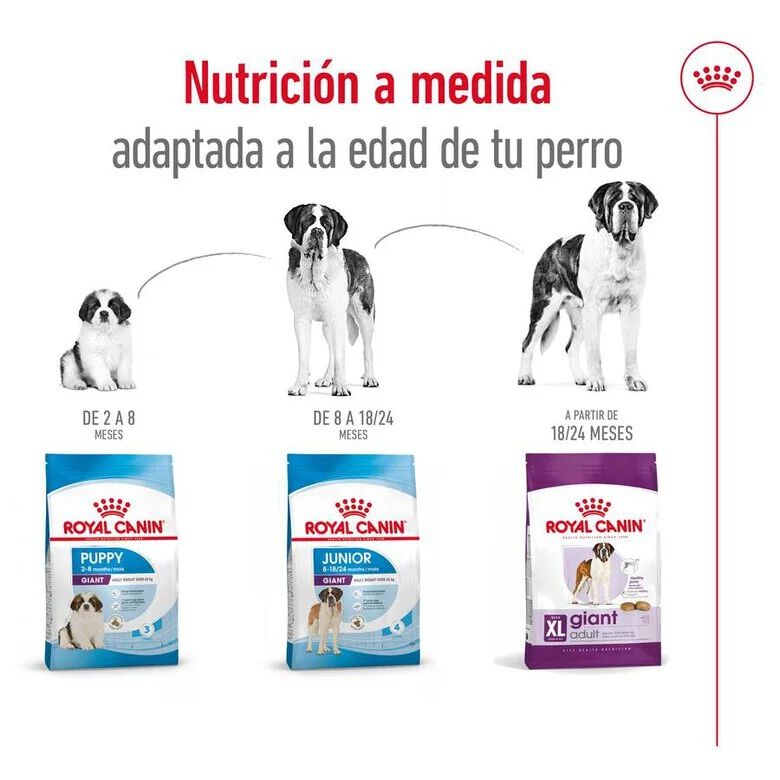 Royal Canin Giant Adult pienso para perros thumbnail