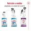 15 kg Royal Canin Giant Adult pienso para perros, , large indicador imagen numero 8