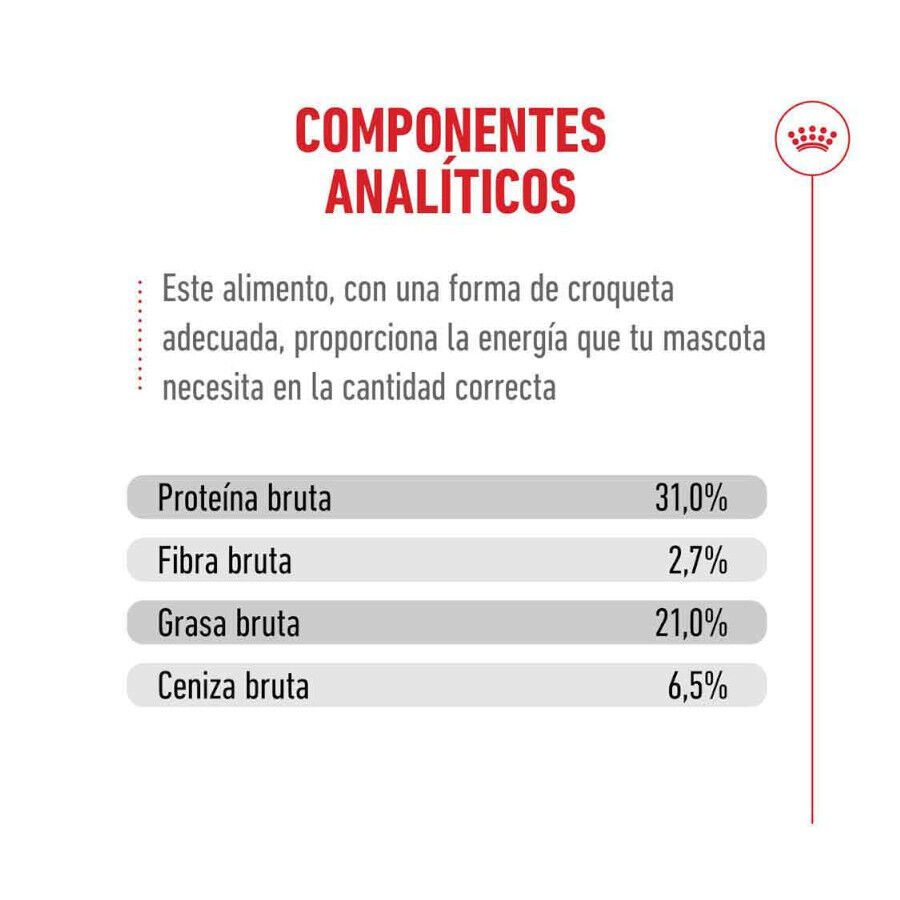 400 g Royal Canin Ageing +15 pienso para gato senior, , large Imagen numero 9