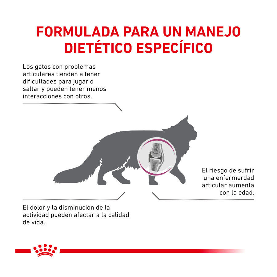 Royal Canin Veterinary Mobility pienso para gatos thumbnail
