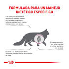 Royal Canin Veterinary Mobility pienso para gatos, , large image number null