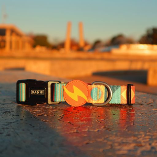 Dashi terracotta collar de poli&eacute;ster multicolor para perros, , large Imagen numero 2