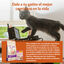 85 g Wellness Core Kitten Pollo en Paté sobre para gatitos, , large indicador imagen numero 4