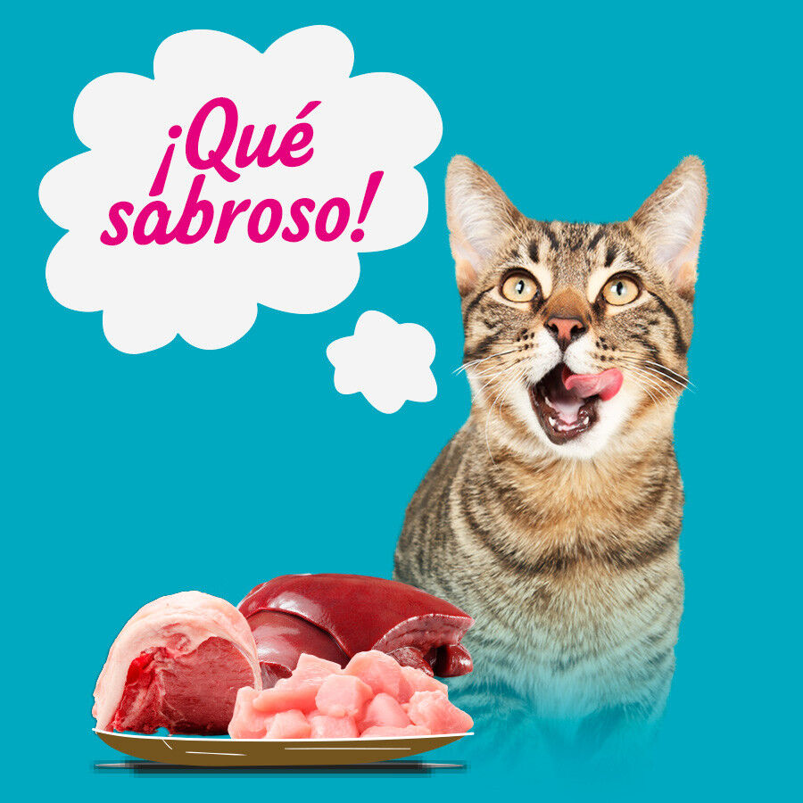 Start Multipack de Carne y Pescado en Gelatina para Gatos thumbnail