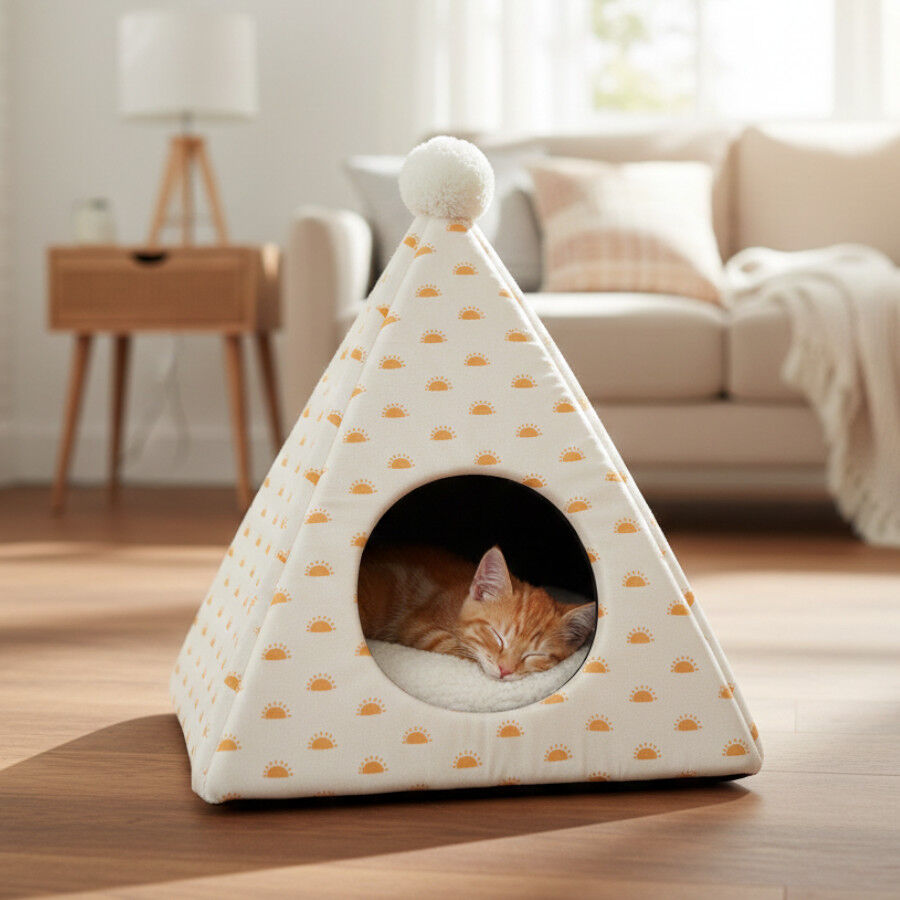 Leeby Cama Pir&aacute;mide Sol para gatos, , large Imagen numero 1