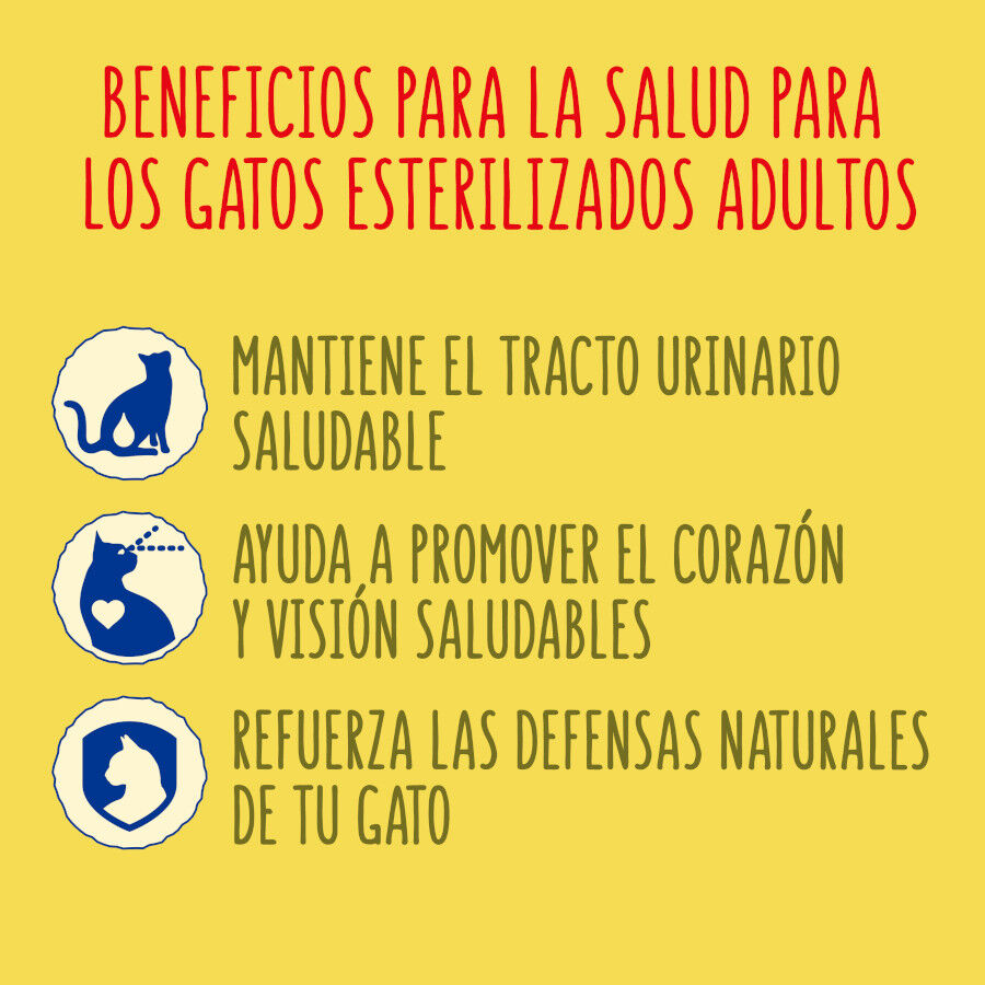 Friskies Sterilized Pollo y Pavo con Verduras pienso para gatos thumbnail