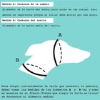Collar Martingale Puntos para perros color Variado, , large image number null
