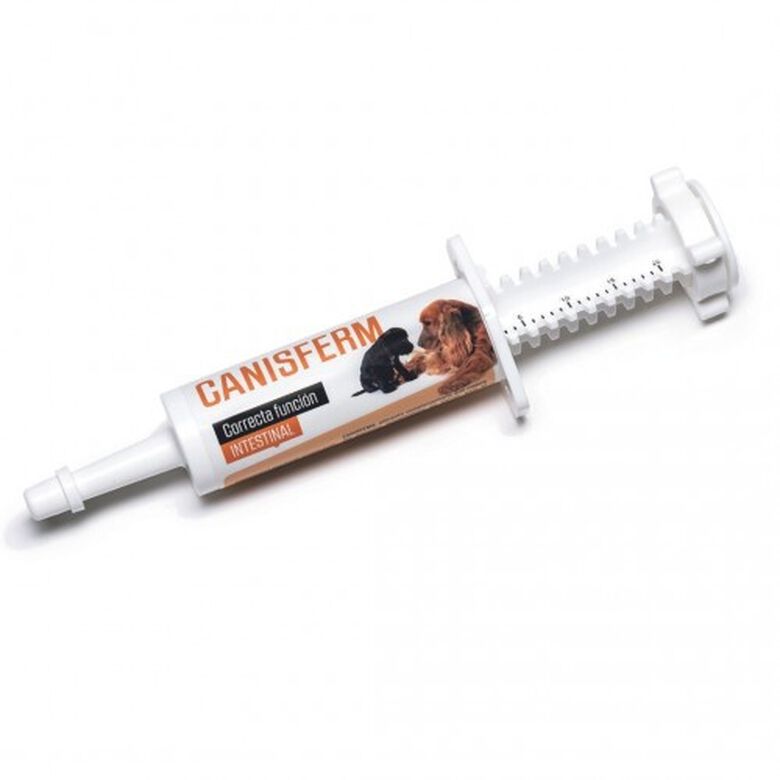 Laboratorios Pino Canisferm Para Mejorar La Flora Intestinal en perros thumbnail