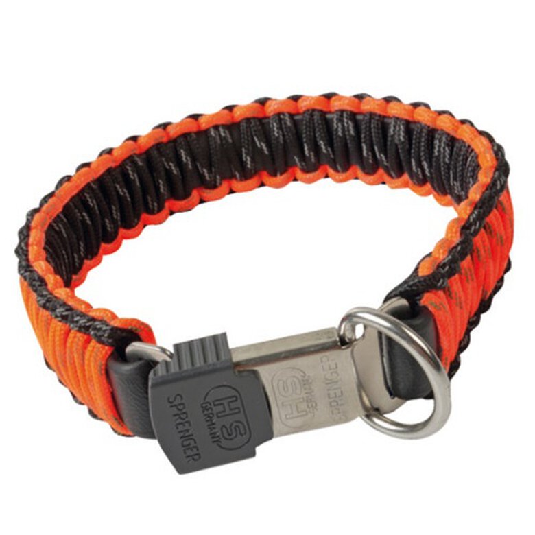 HS Sprenger naranja collar para perros image number null