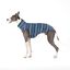 Jersey de Lana para Whippets: Estilo, Calidez y Comodidad - Diseño Elegante y Ajuste Perfecto - Protección contra el Frío - Ideal para Whippets, Lebreles y Galgos Italianos - Ethnic, S, , large indicador imagen numero 1