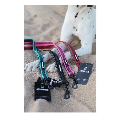 APEX DOG GEAR correa de nylon con doble asa roja para perros, , large Imagen numero 2