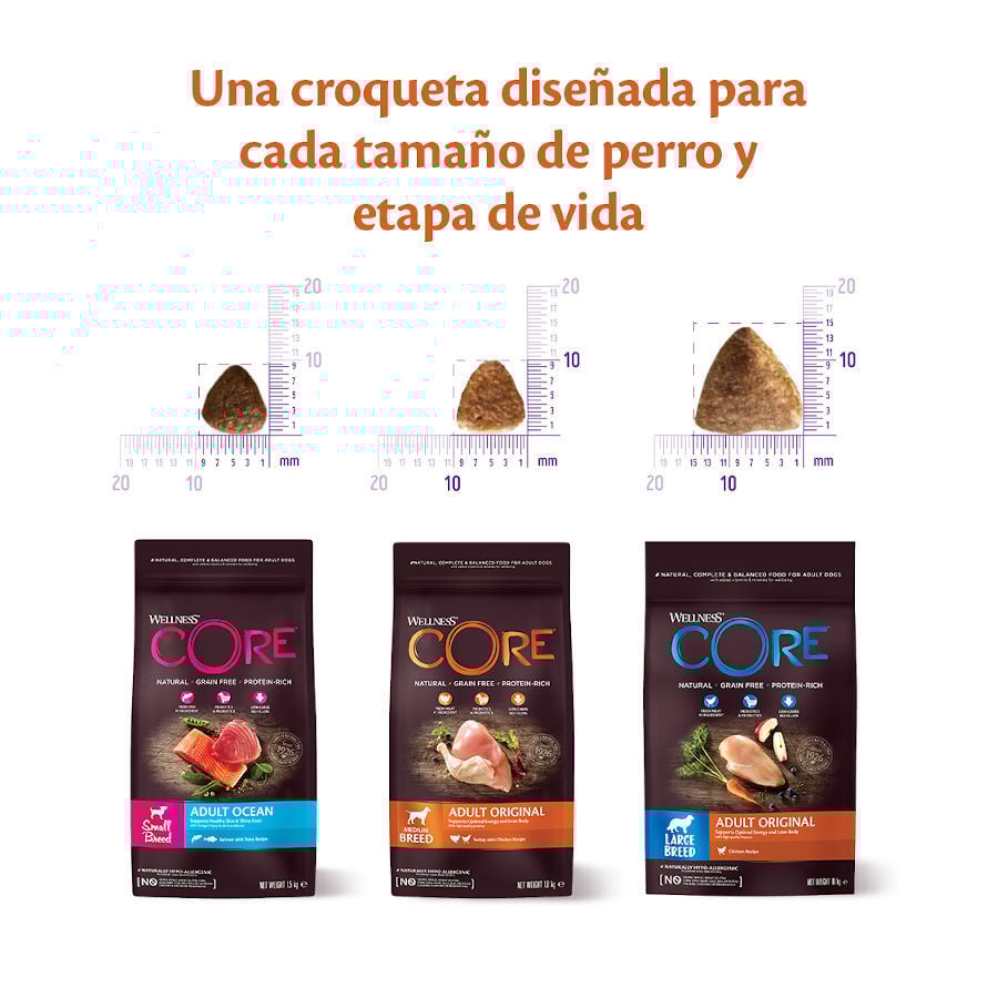 Wellness Core Adult Small Ocean Salmón y Atún pienso para perros thumbnail