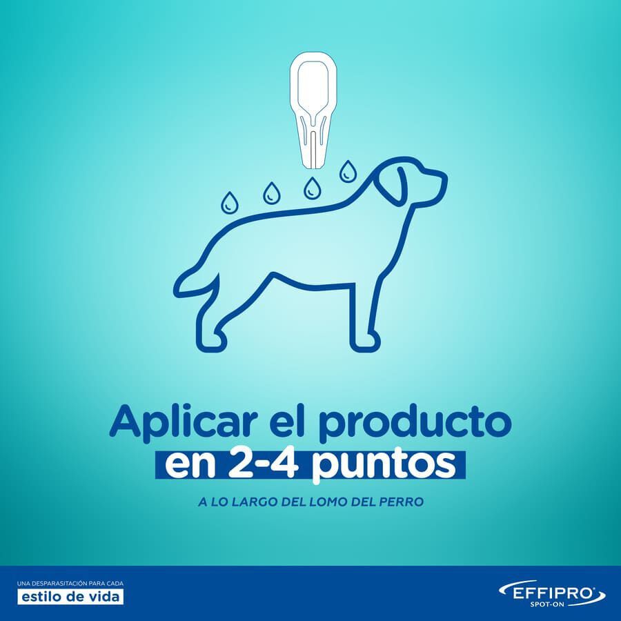 Effipro pipetas antipar&aacute;sitos perros 40-60 kg, , large Imagen numero 7