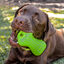 Rogz yumz hueso de juguete rosa para perros, , large indicador imagen numero 3