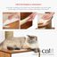 Catit Vesper High Base Gigante, Roble, , large indicador imagen numero 5