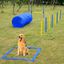 Set de Entrenamiento y Agilidad PawHut para Perros color Azul, , large indicador imagen numero 2