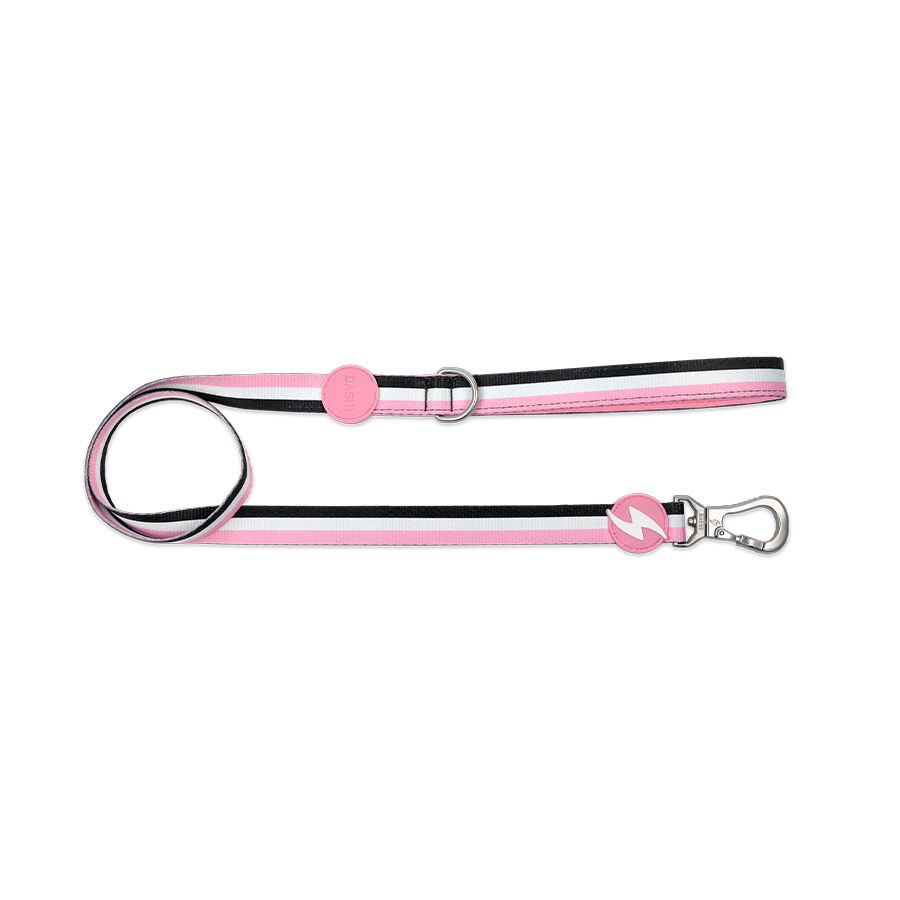 Dashi stripes correa de poli&eacute;ster rosa y negro para perros, , large Imagen numero 1