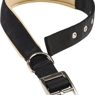 Ferplast Collar de adiestramiento para perros