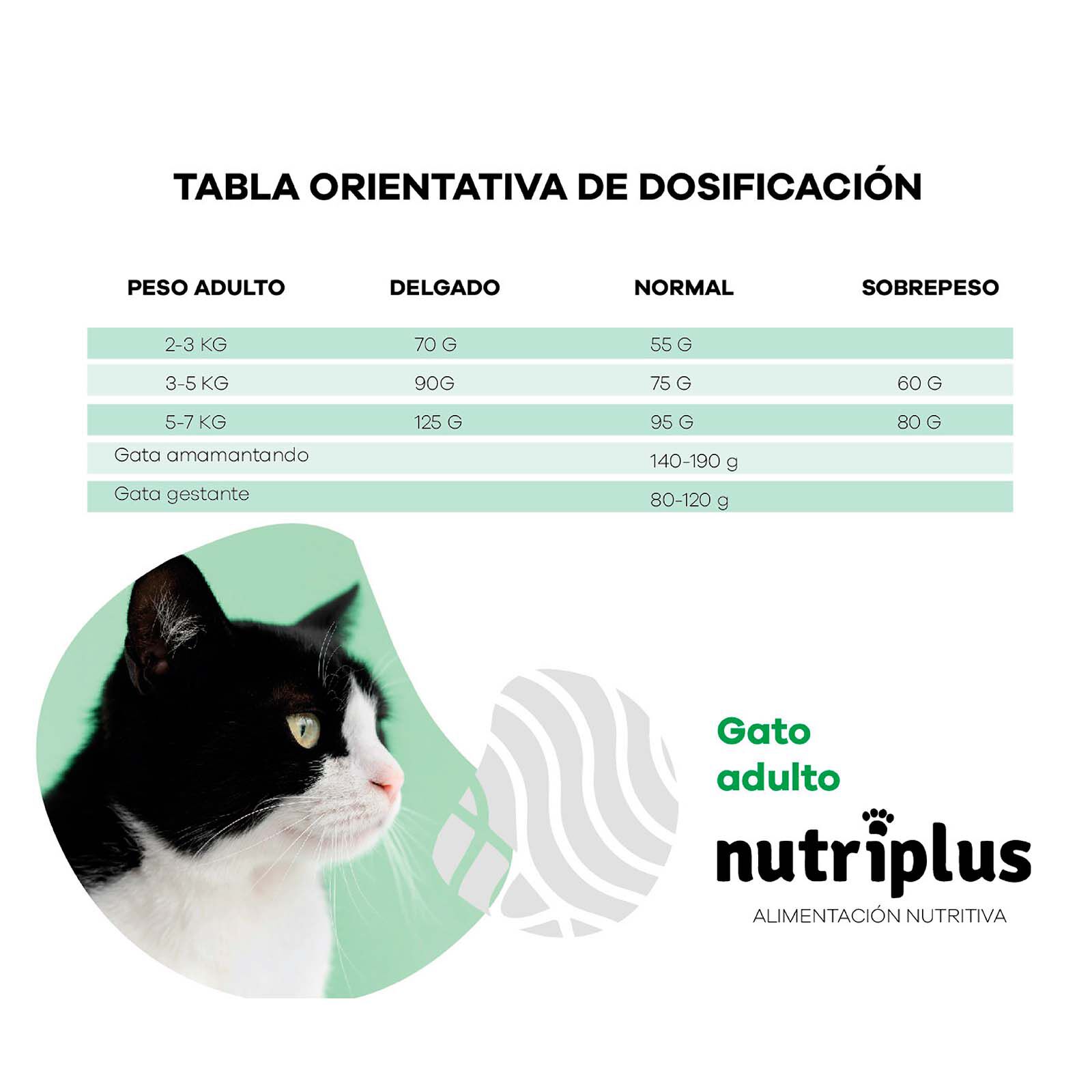 Pienso para gatos adultos sabor Pollo, , large Imagen numero 4