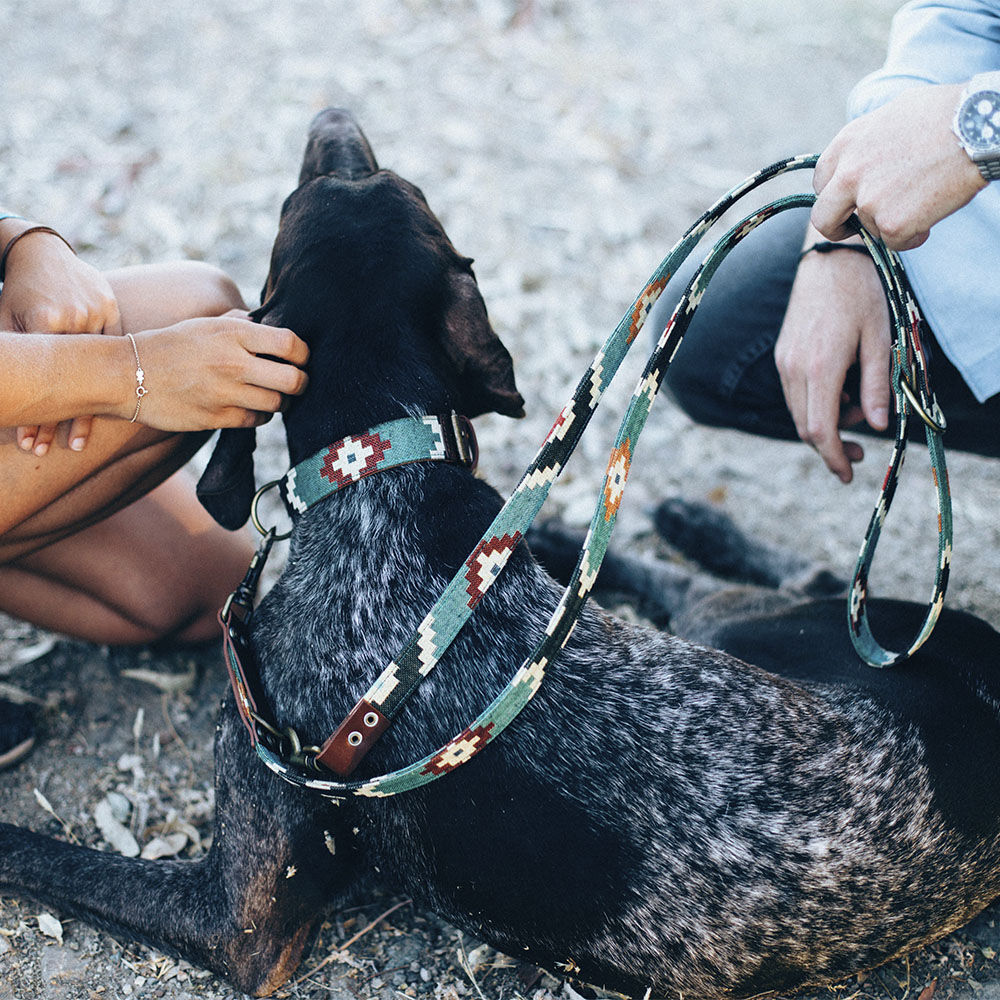 Ladran gaucho collar pluto hecho a mano verde y negro para perros, , large Imagen numero 2
