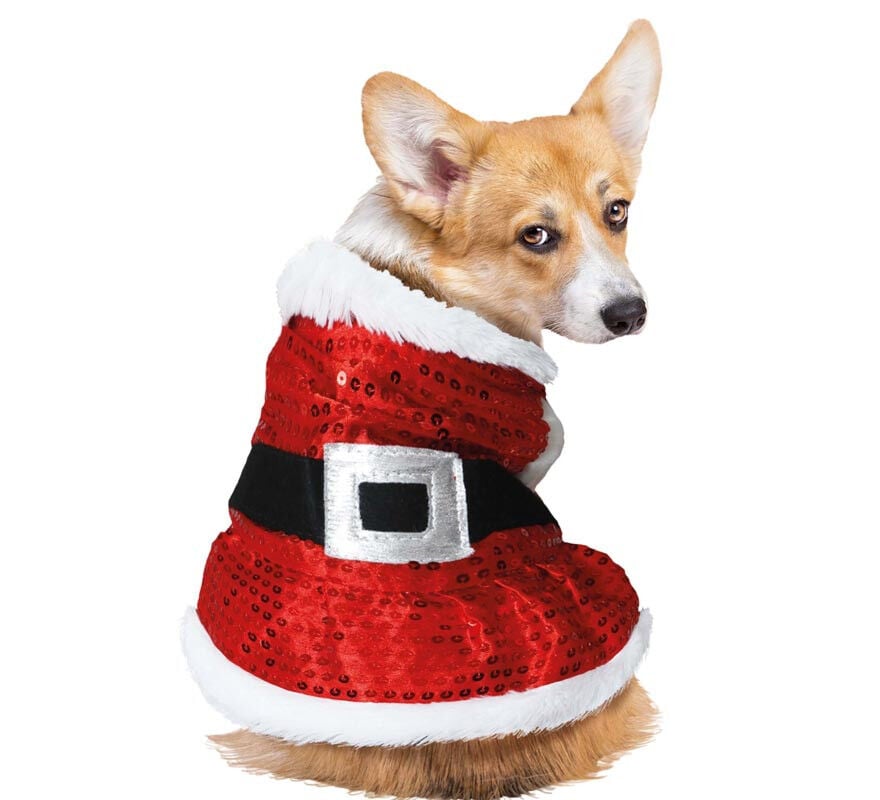 Disfraz de Pap&aacute; Noel con lentejuelas para perro, , large Imagen numero 1