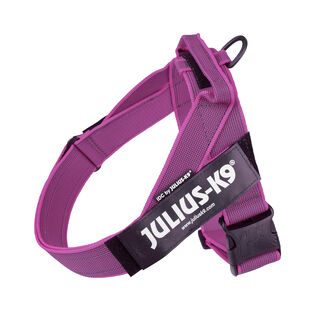 Arnés Julius K9 IDC Cinta Rosa para perros