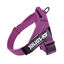 Arnés Julius K9 IDC Cinta Rosa para perros, , large indicador imagen numero 1