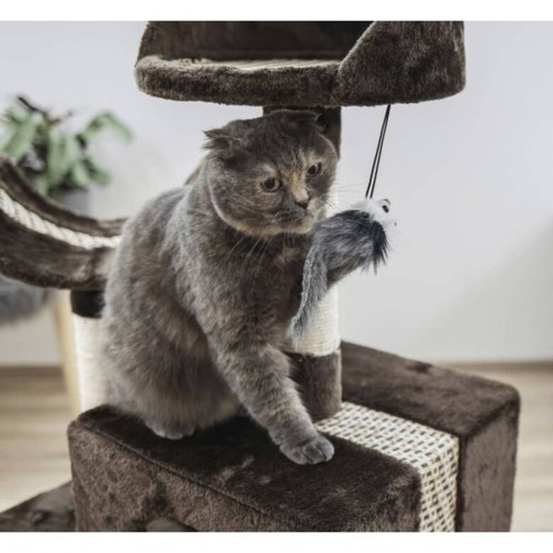 Kerbl árbol rascador 3 plantas marrón para gatos thumbnail