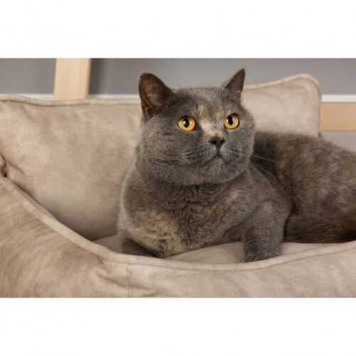 Cama para perros color Crema, , large Imagen numero 6