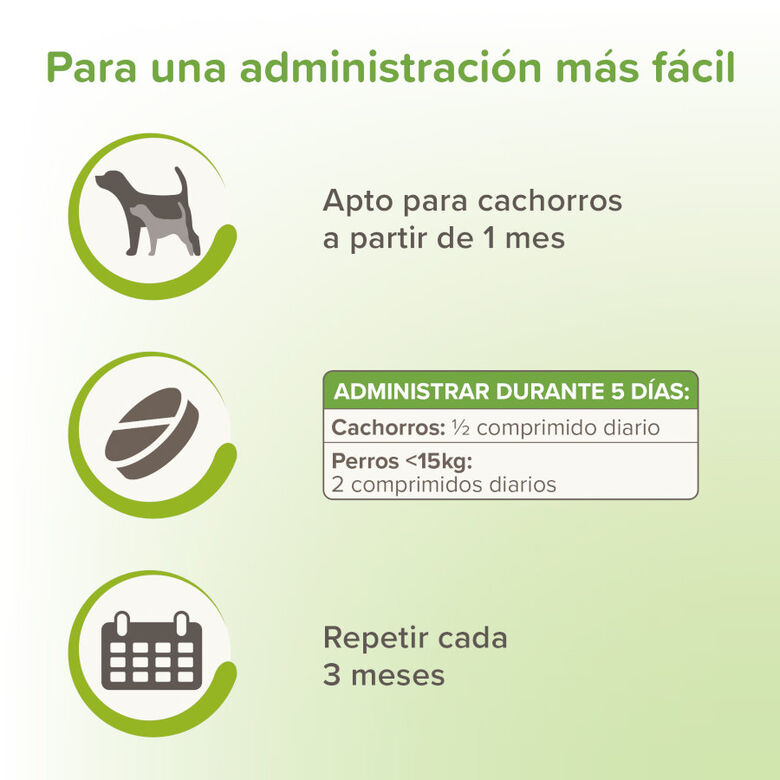 Beaphar VERMIpure Repelente Interno Natural en comprimidos para perros pequeños y cachorros thumbnail