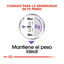 85 g Royal Canin Sterilised Sobres Paté para perros, , large indicador imagen numero 5