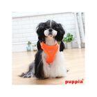 Arnés Neon Vest para perros color Naranja, , large image number null