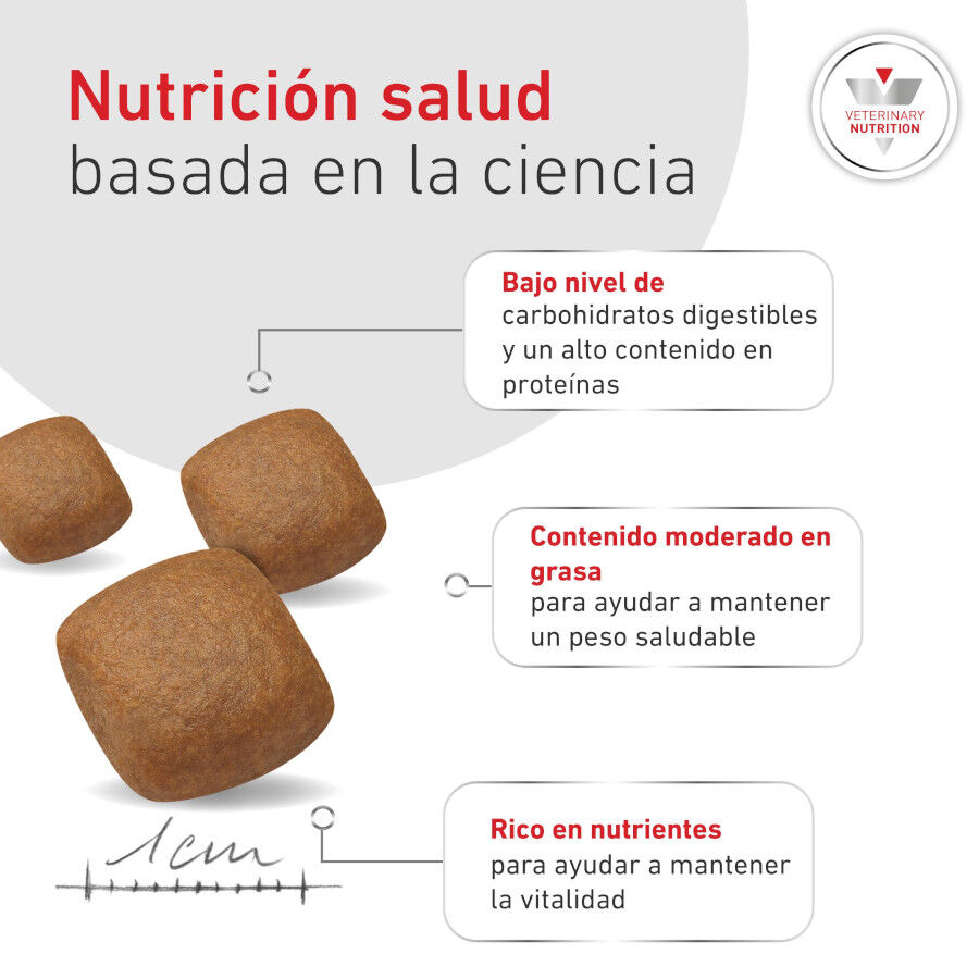 7 kg Royal Canin Veterinary Diabetic pienso para perros, , large Imagen numero 6