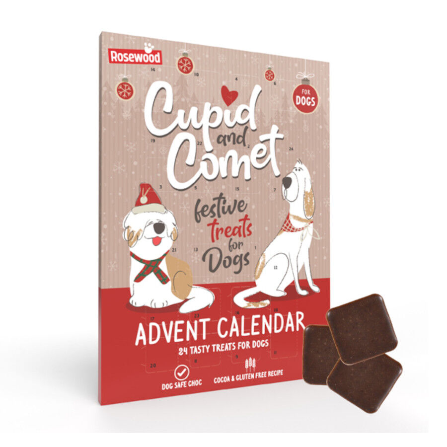 Rosewood Cupid&Comet Calendario de Adviento para perros