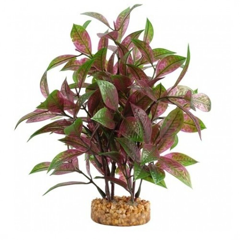 Planta artificial Ludwigia Roja 20 cm color Verde y Rojo, , large image number null