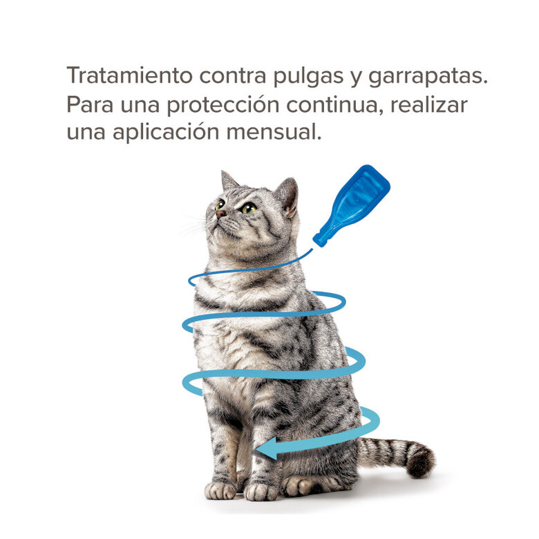 Beaphar Fiprotec Pipetas Antiparasitarias para gatos, , large image number null