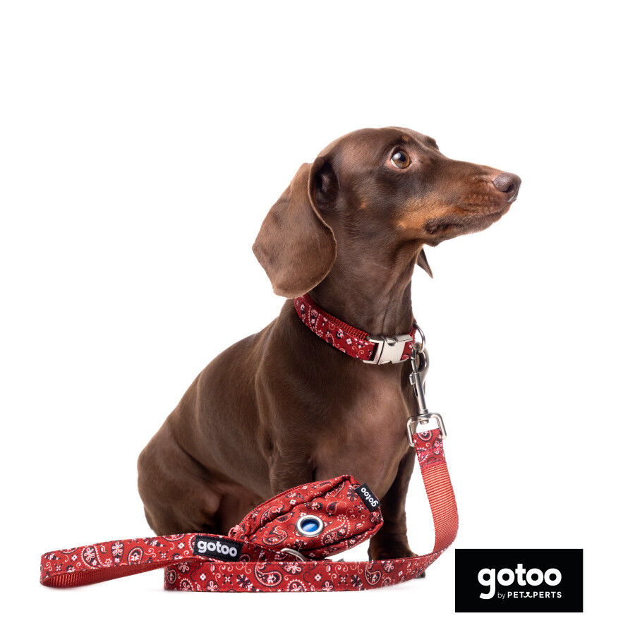 Gotoo Collar estampado cachemira rojo para perros, , large Imagen numero 8